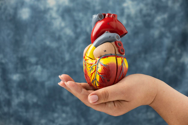 Dia Nacional do Controle do Colesterol: Saiba como cuidar da sua saúde cardiovascular